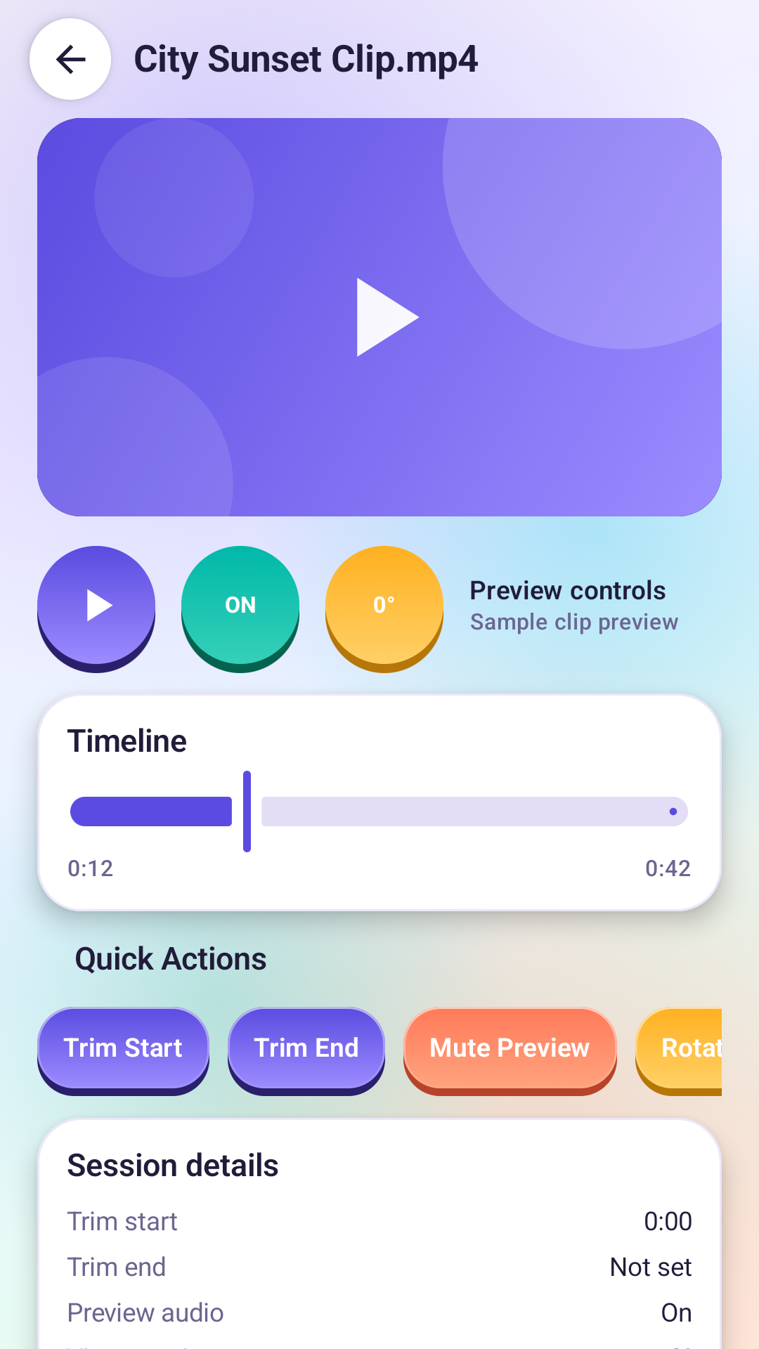 Video preview controls